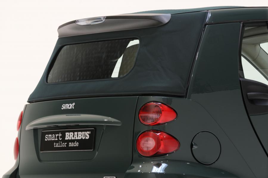 Детали экстерьера Smart ForTwo Tailor Made by Brabus 2010 года  (фото 13 из 52)